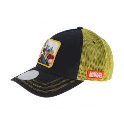 Günstiges Disney Geschäft -Günstiges Disney Geschäft Muetzen Disney Disney Muetze THCAP1 BN l 1