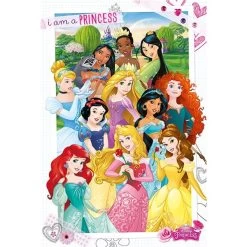 Disney Prinzessinnen Poster