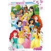 Poster Disney Prinzessinnen 272410